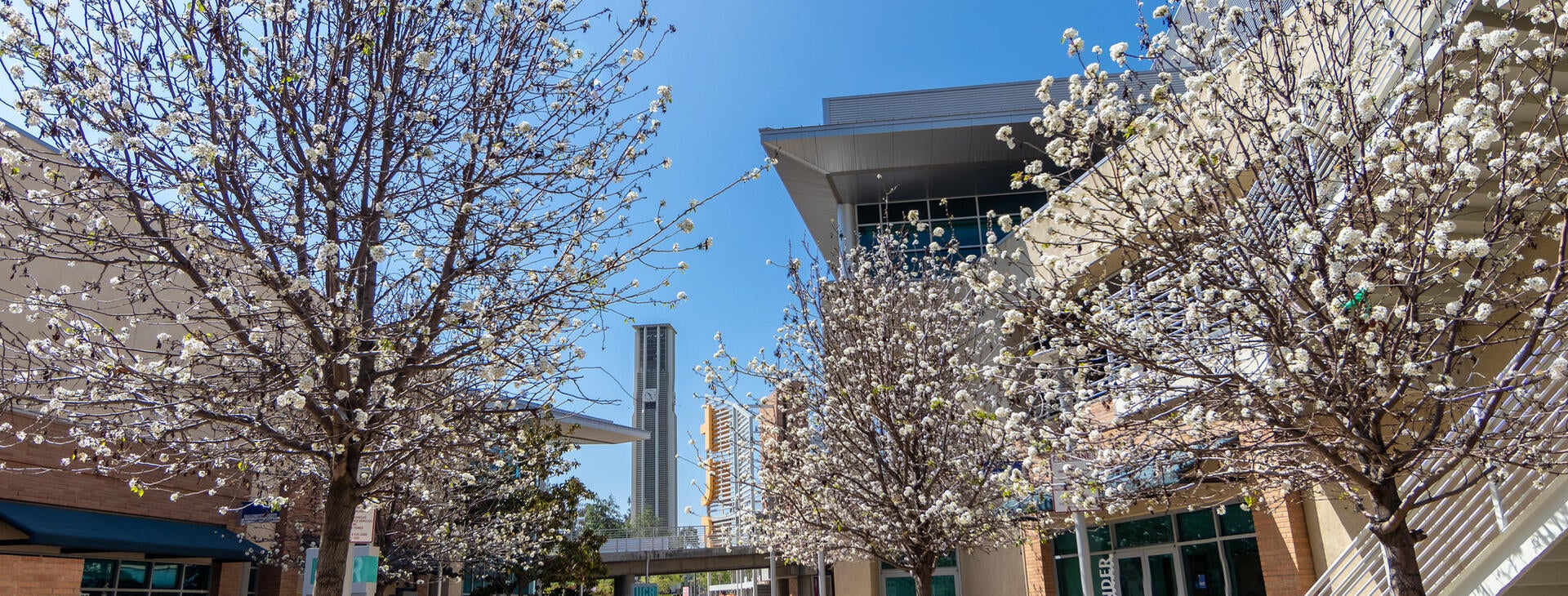 Campus photo Campus photo